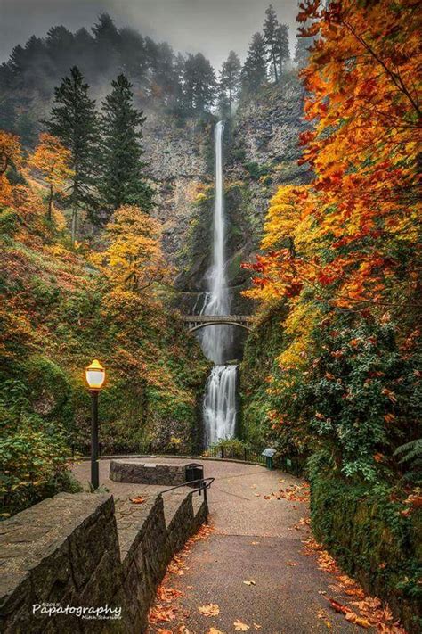 Multnomah Falls Fall Foliage Beautiful Places Places To Travel