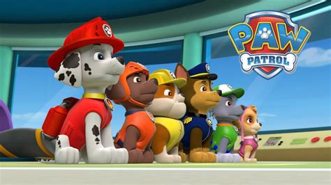 Paw Patrol Full Game Episode Pups Save The Sea Turtles Gameplay Youtube
