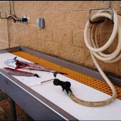 We did not find results for: Fish cleaning station - need outlet to plug in filet knife | Fish cleaning station, Fish ...