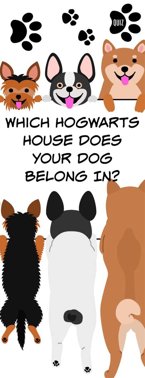 Can't get enough harry potter? Which Hogwarts House Does Your Dog Belong In? | Harry ...