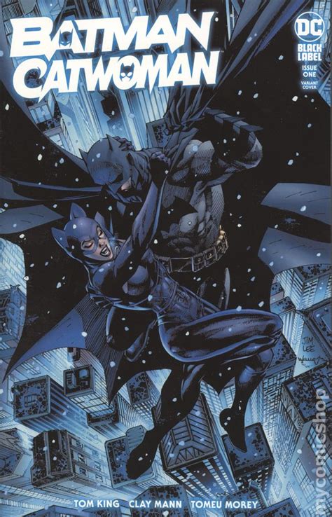 Batman Catwoman 2021 Dc Comic Books