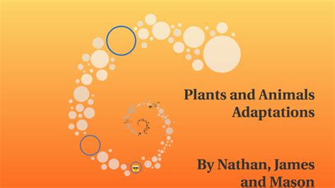 Plants And Animals Adaptations By James Buxton