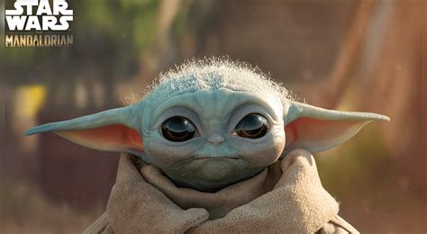 ¡llevate A Baby Yoda A Casa Alien De Star Wars Se Luce Con Adorable