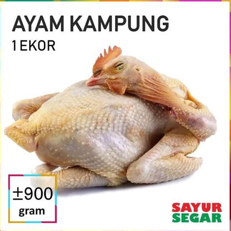 Jual Daging Ayam Kampung 1 Ekor 900g Harga Terjangkau Di Lapak Angel Food And Drink Store