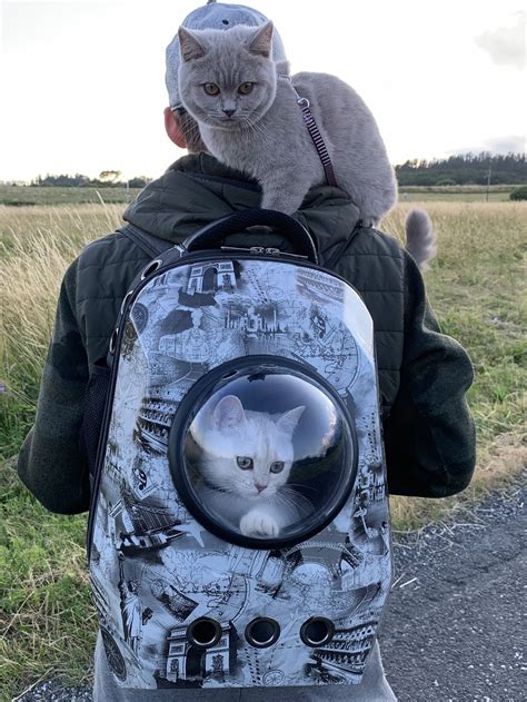 Today, we will provide you with a thorough review of our picks of the top 5, a list of considerations when deciding on the best cat backpack for your friend and you, and we'll tell you how to get the best use from this. Newest Travel Cat Backpack In 2019 | Best Cat Carrier At ...