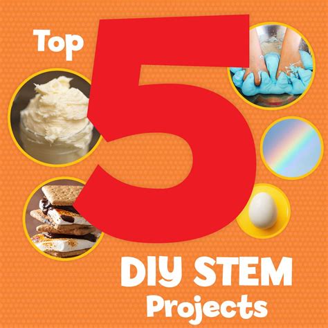 Top 5 DIY STEM Projects | Stem projects, Diy stem projects, Projects 