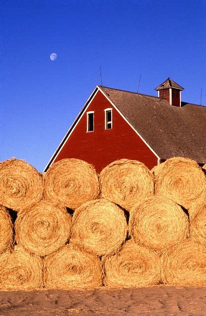 Hay Bales Farm Free Photo On Pixabay Pixabay