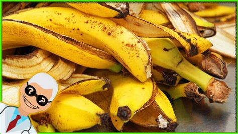Never Throw Bananas Peels After Watching This Youtube