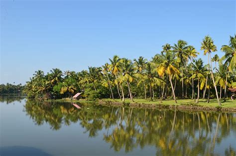 Hd Wallpaper Backwater Coconut Trees Coconut Trees Kerala River