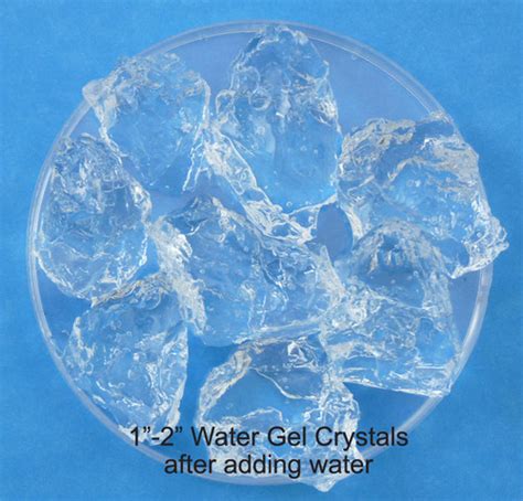 Polyacrylamide Gel Crystals