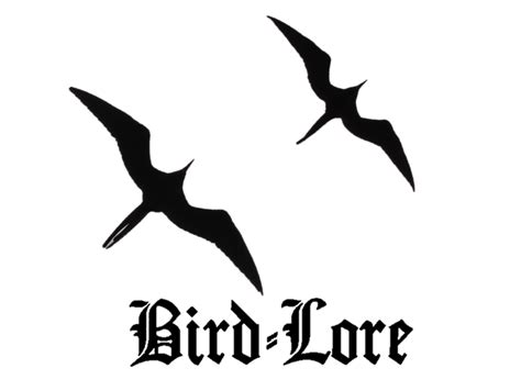 Frigate Bird Tattoo