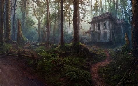 House Forest Wallpapers Top Free House Forest Backgrounds