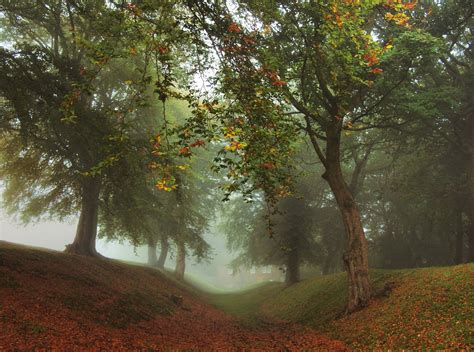 House Through The Mist By Kenny Barker On 500px Around The World In