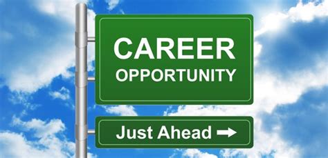 How To Identify The Best Career Opportunity For You