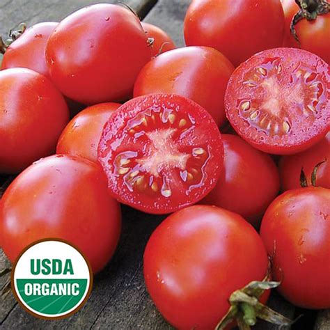Siberian Organic Tomato Seed Savers Exchange