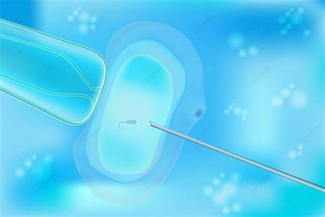 Understanding Reproductive Techniques In Vitro Fertilization Artificial