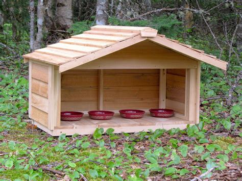 I'm hoping for something that i can easily take inside and outside. Outdoor cedar cat dog rabbit feral feeding station food ...