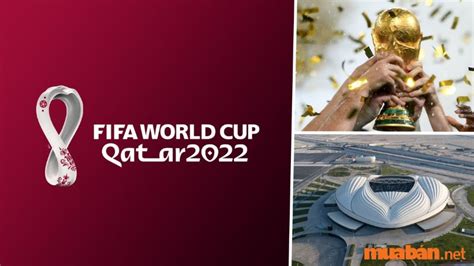 World Cup 2022 Diễn Ra Khi Nào Ở Đâu Có Gì Đặc Biệt Thethaoolympic