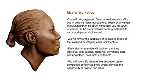 Forensic Art Forensic Facial Reconstruction Sculpture Forensic
