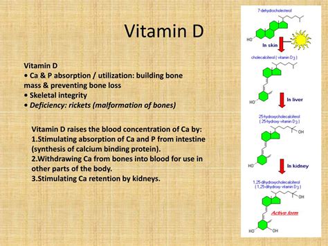 Ppt Vitamins Powerpoint Presentation Free Download Id2459710
