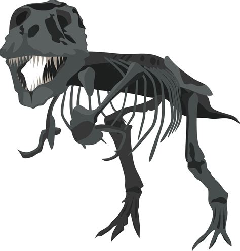 Dinosaur Skeleton On White Background Free Image Download