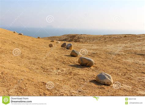 Desert Stones At Paracas National Reserve Stock Photo Image Of