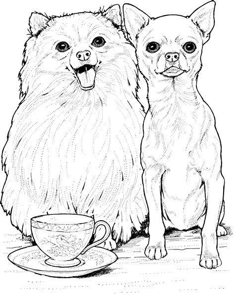 Dog Breed Coloring Pages At Getdrawings Free Download