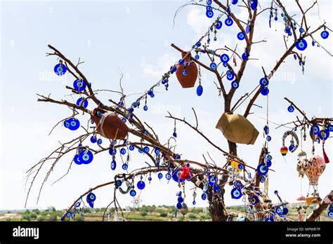 Travel To Turkey Tree Decorated By Local Amulets In Goreme National