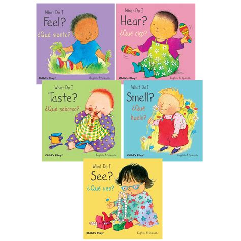 Small Senses Board Book Set Five Senses Books For Kids Beckers