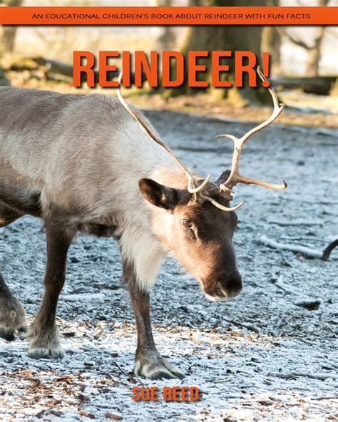 Reindeer An Educational Childrens Book About Reindeer With Fun Facts