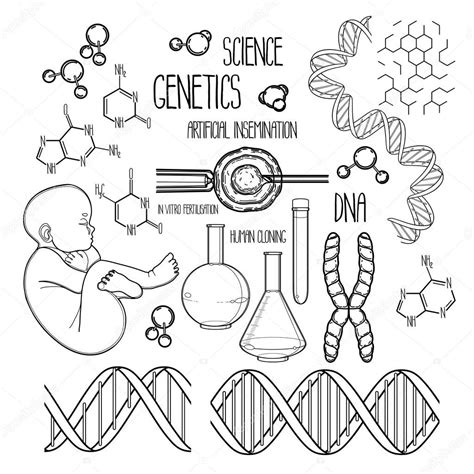 Conjunto De Investigación Genética Ilustración De Stock De
