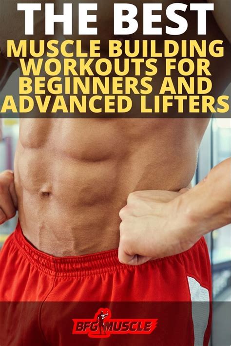 Best Muscle Building Workouts For Beginners And Advanced Lifters Workout For Beginners