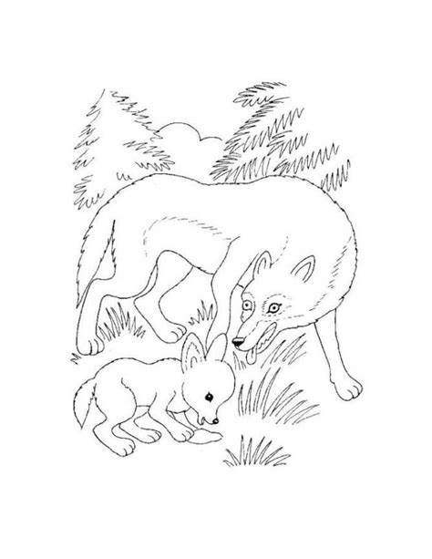 Ausmalbild boser wolf rotkappchen kostenlos ausdrucken. Malvorlagen zum Ausdrucken Ausmalbilder Wolf kostenlos 3 ...