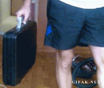 Suitcase Gun GIFs - Find & Share on GIPHY