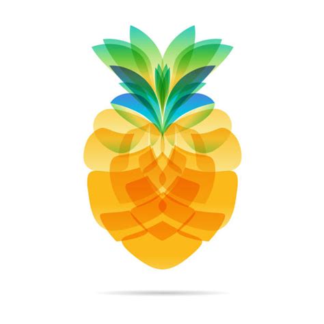 Best Orange Peel Illustrations Royalty Free Vector Graphics And Clip Art