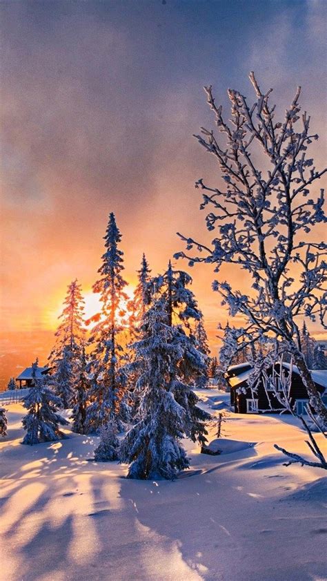 Download Wallpapers Winter Sunset Snowdrifts Hdr Orange Sun Rays