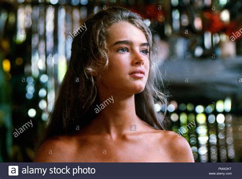 The Blue Lagoon 1980 Brooke Shields Imágenes De Stock And The Blue Lagoon