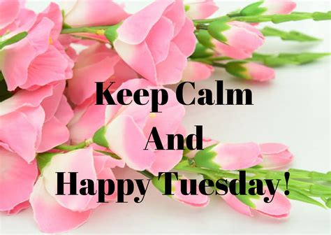 Happy Tuesday Images Wishes Wallpaper Quotes For Whatsapp Facebook