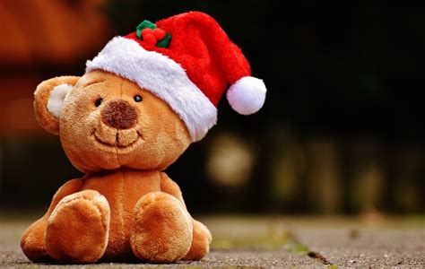 Free Images Christmas Teddy Bear Santa Hat Funny Soft Toy Stuffed Toy X