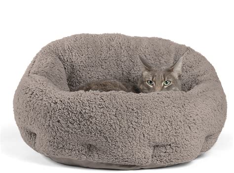 Best Cat Beds Tips To Choose Cat Bed And Reviews And Buyers Guide 2022