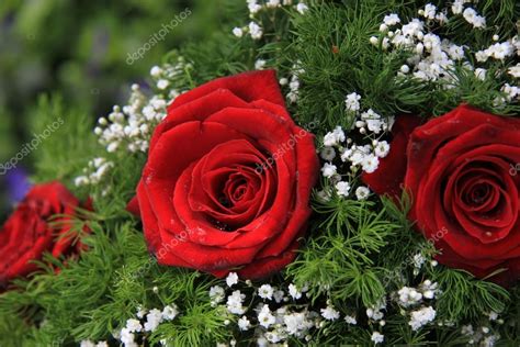 Red Roses And Gypsophila — Stock Photo © Portosabbia 14014456