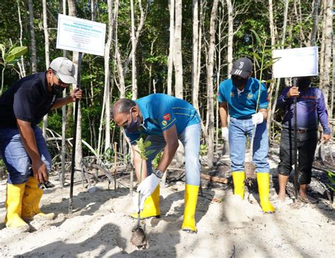 Tumpu Lestarikan Alam Sekitar Untuk Program Csr Perkeso Anjur Tanam Pokok Bakau Bersihkan Pantai