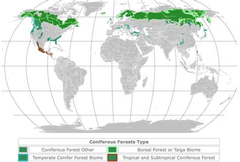 World Map Of Coniferous Forests