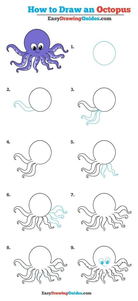 how to draw an octopus step by step drawing tutorials