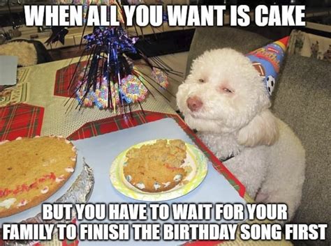 These Birthday Memes Will Make You Want To Party Like Its Your