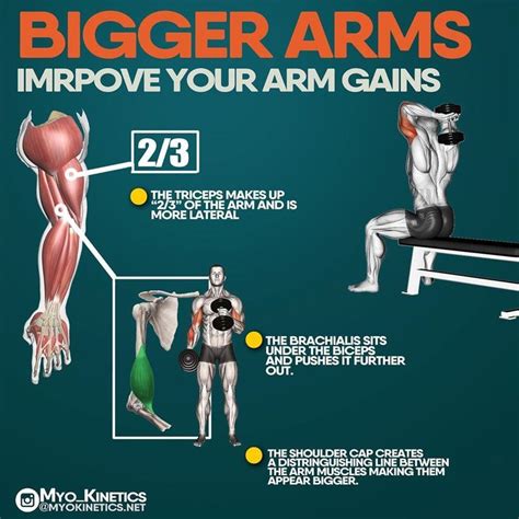 Fitness Tips Forearm Workout Arm Workout Big Arm Workout