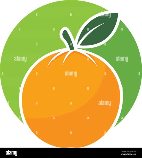 Orange Fruit Logo Vector Illustration Template Stock Vector Image And Art