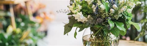 Plantshed Blog How To Properly Cut Flower Stems To Extend Your Vase Life