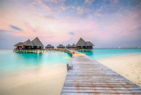 Luxury Maldives Resort Wants Summer Intern To Help Rescue Sea Turtles
