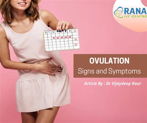 All About Ovulation Signs And Symptoms